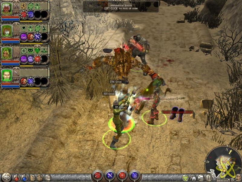 Dungeon Siege - Screenshot #1