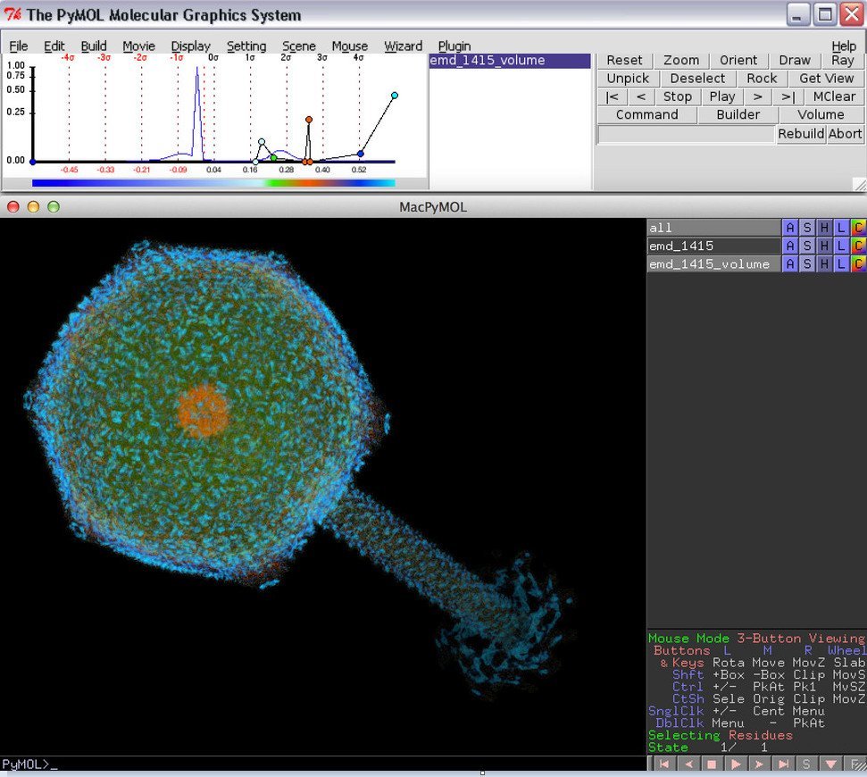 PyMOL - Screenshot #6