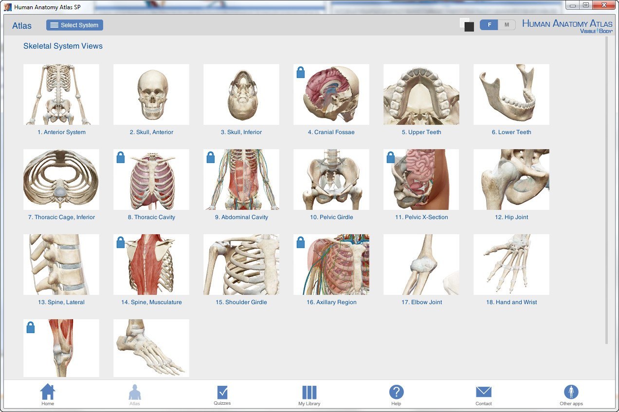 Программа анатомия человека