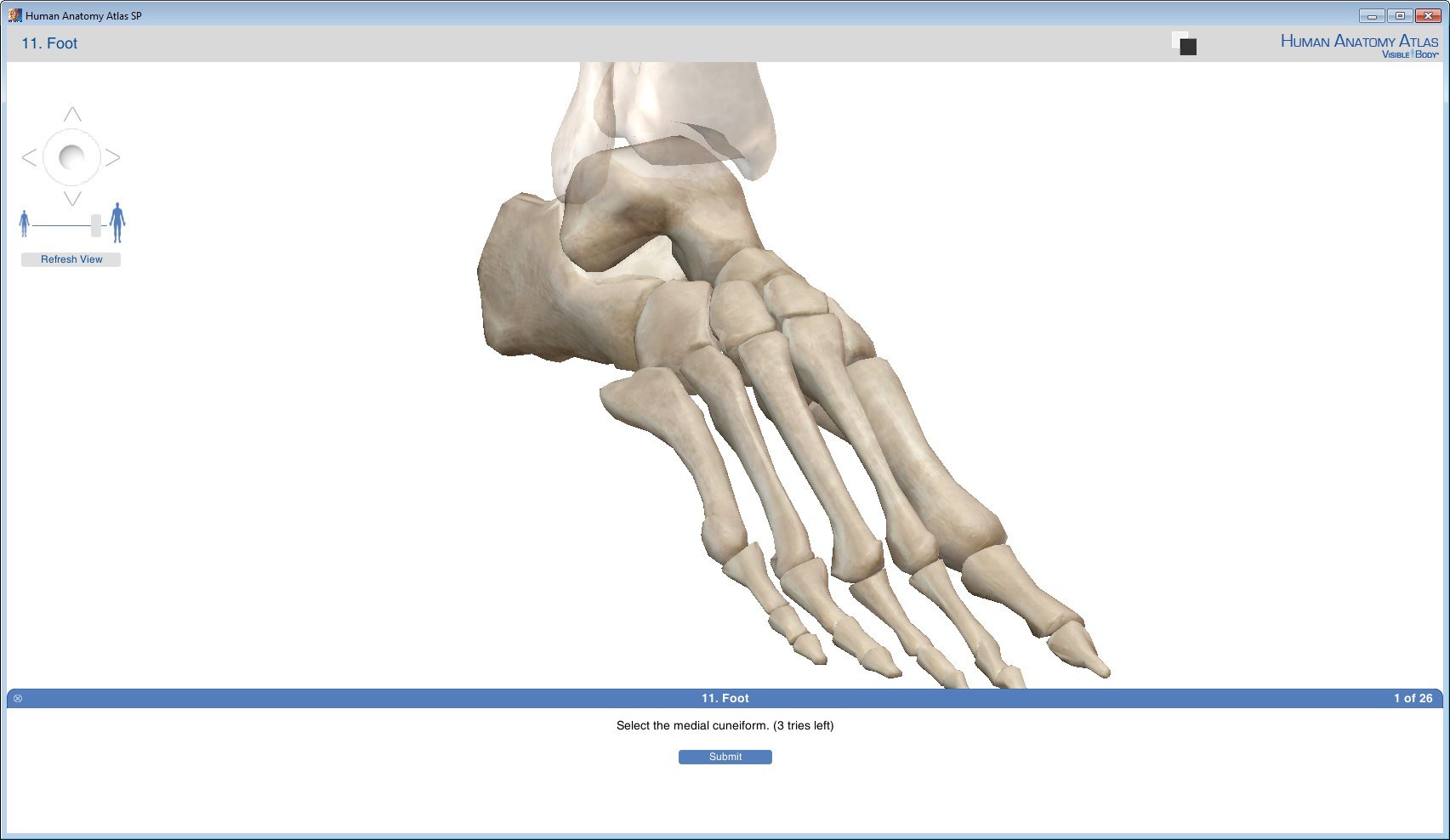 human anatomy atlas online print free