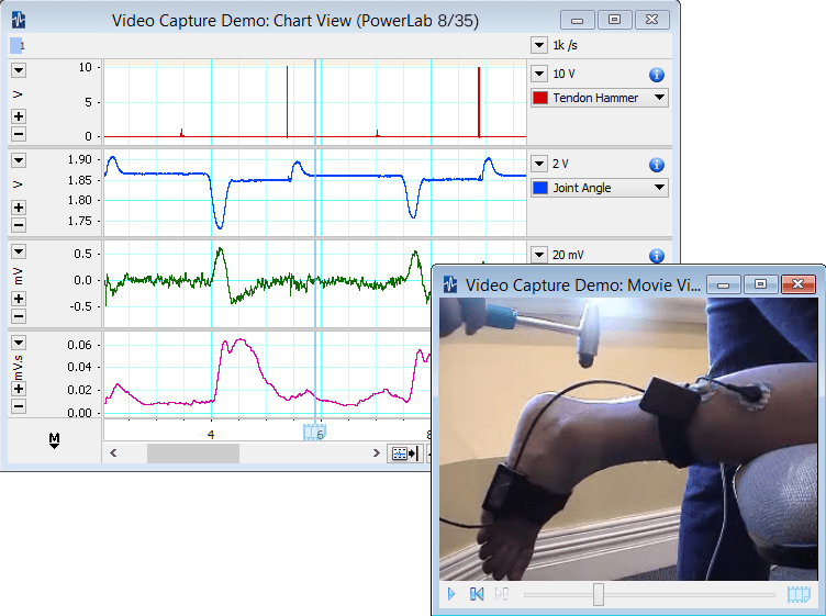 ADInstruments VideoCapture - Screenshot #1