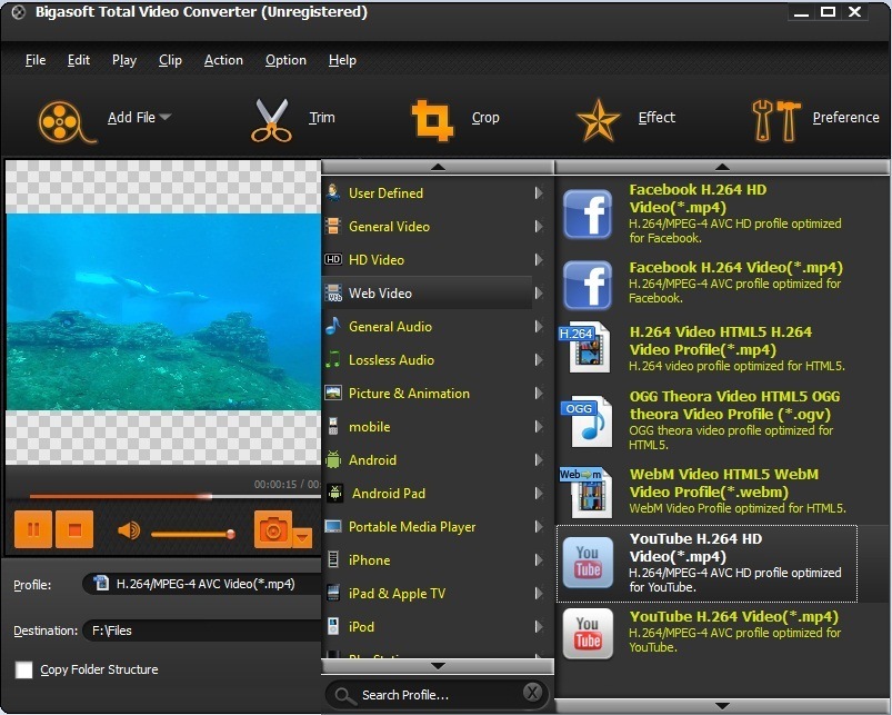 bigasoft total video converter 5 license name and code