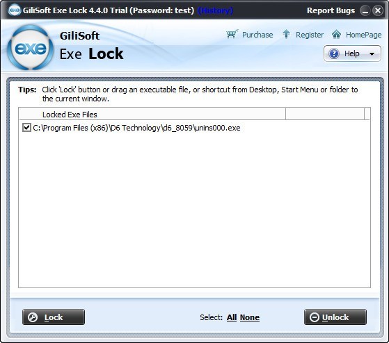 GiliSoft Exe Lock 10.8 free
