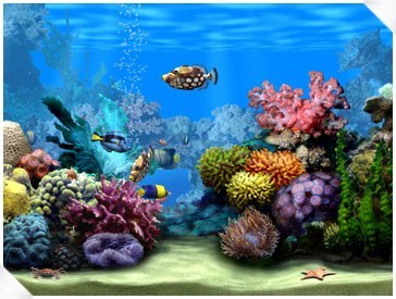 Living Marine Aquarium - Screenshot #4