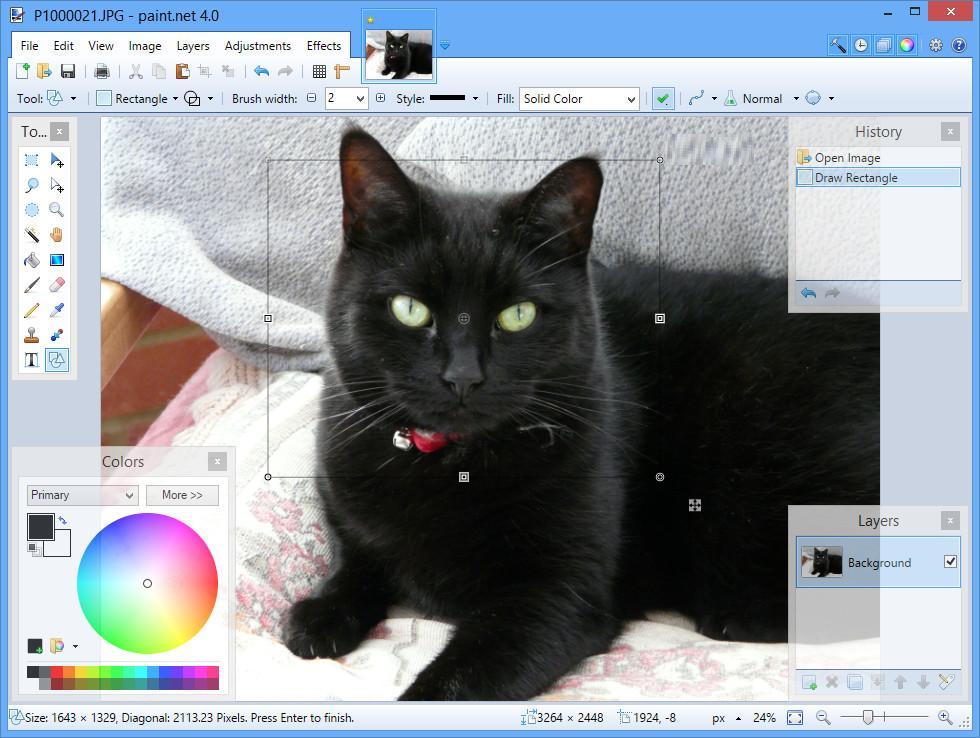 Paint net картинки