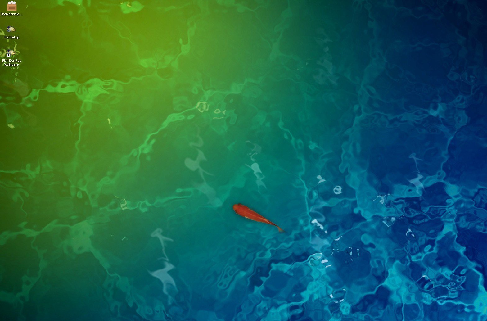 Fish Desktop Wallpaper - Screenshot #1