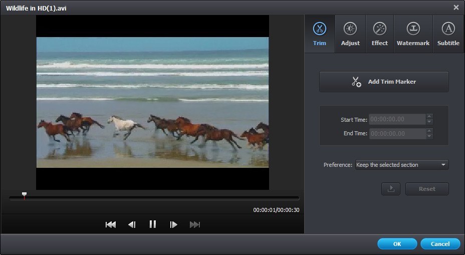 Wondershare Video Converter Pro - Screenshot #15