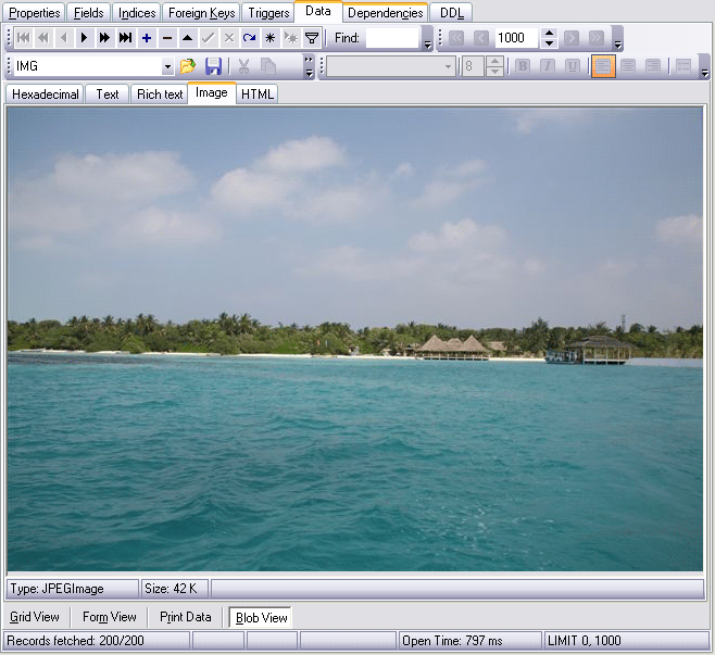 SQL Manager for MySQL - Screenshot #2