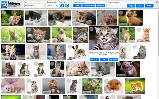 Picture Downloader Professional - Screenshot #1