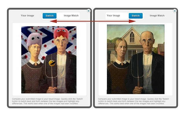 TinEye Reverse Image Search old version - Screenshot #1