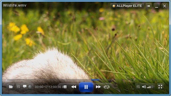 ALLPlayer - Screenshot #5