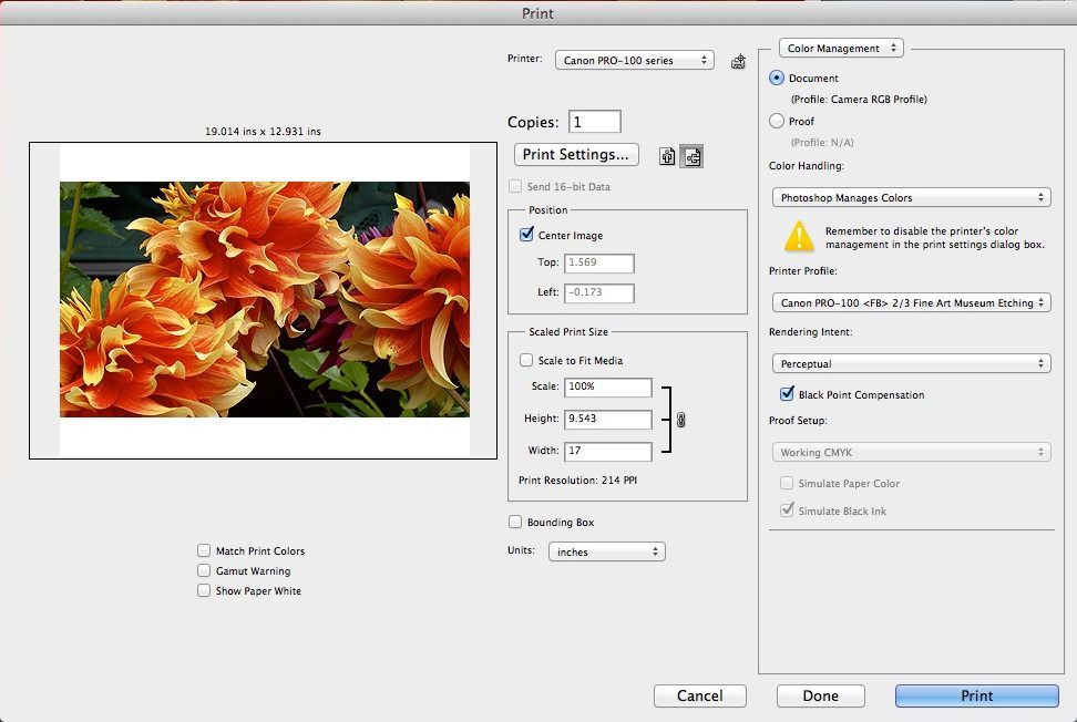 canon print studio pro download windows 10 usa