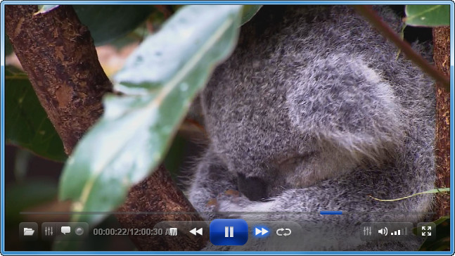 ALLPlayer - Screenshot #4