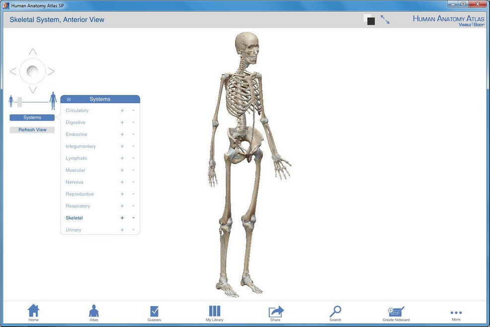 Human Anatomy Atlas download for free - SoftDeluxe