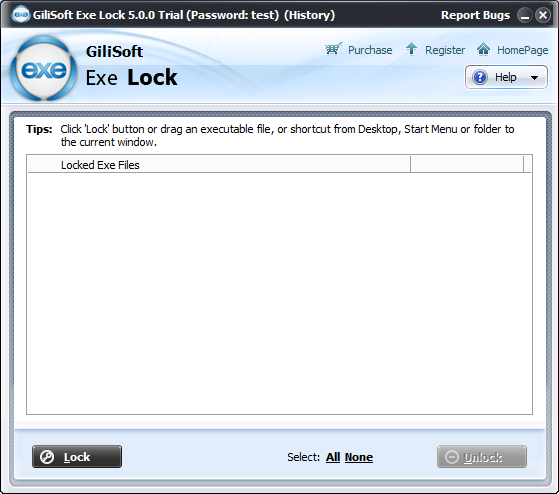GiliSoft Exe Lock 10.8 instal the new for ios