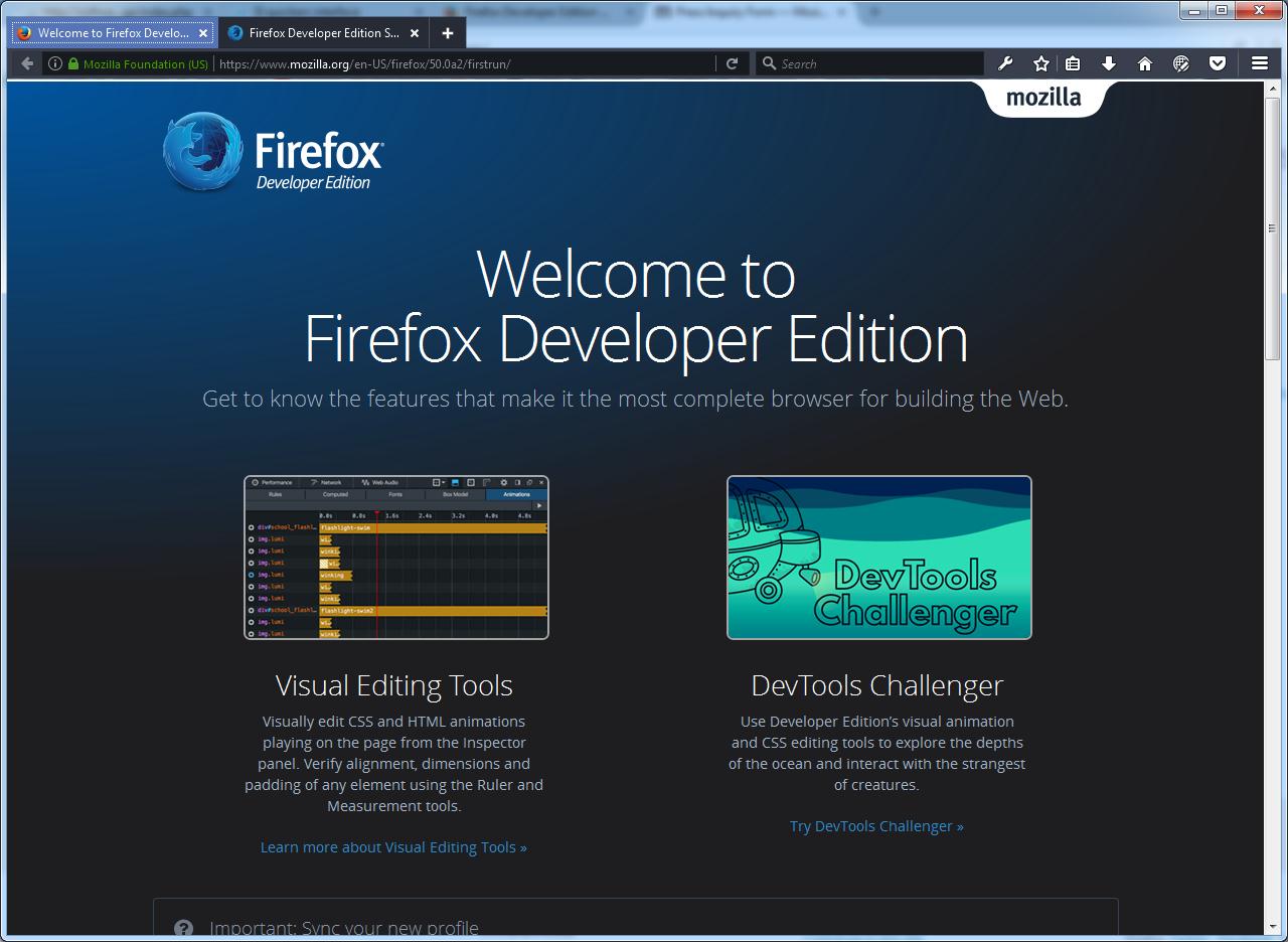 Firefox developer edition features