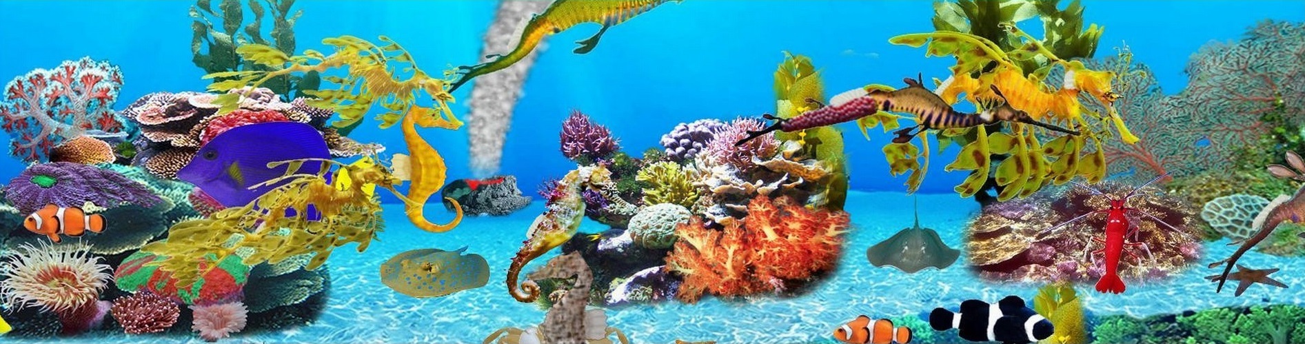 Sea Dragons Aquarium - Screenshot #1