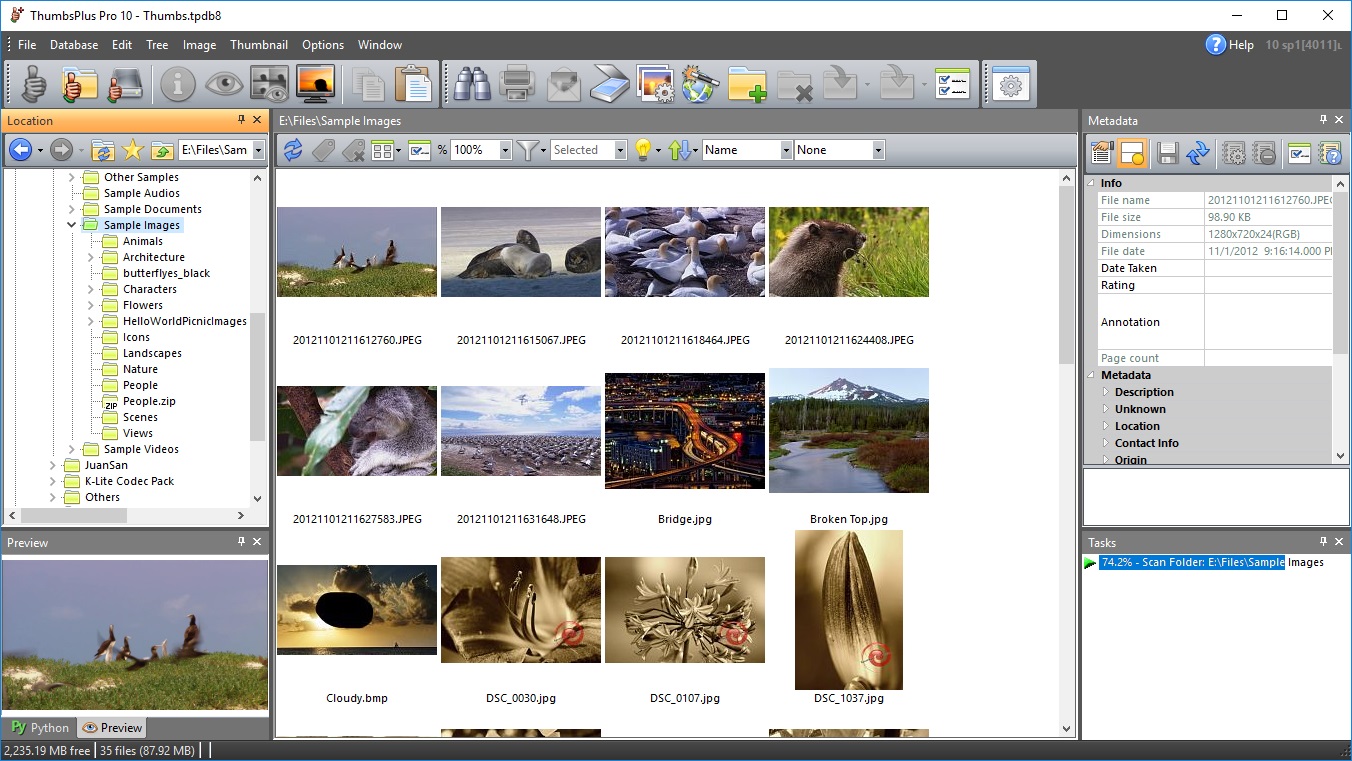 ThumbsPlus - Screenshot #4
