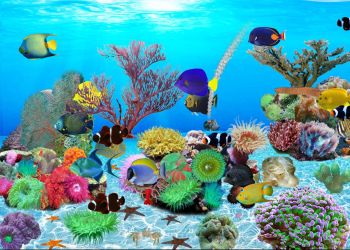 Undersea World Aquarium - Screenshot #1