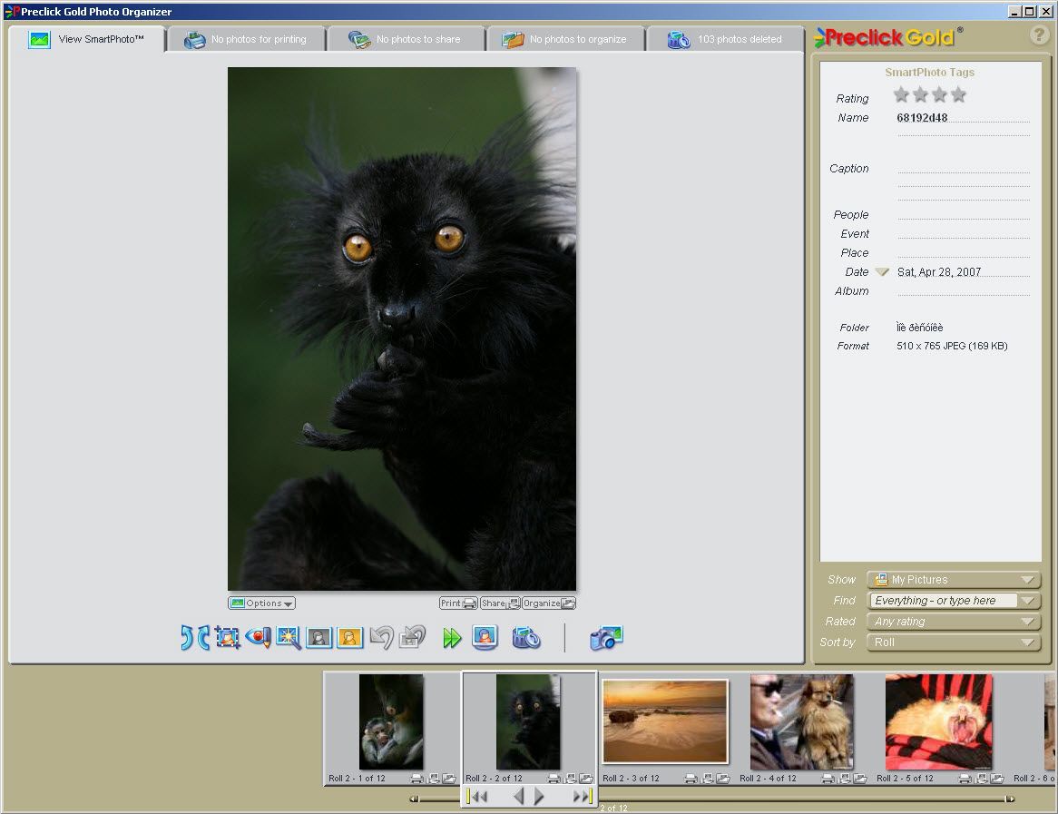 Preclick Gold Photo Organizer - Screenshot #3