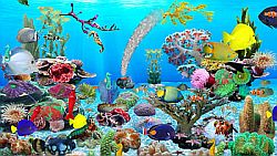 Blue Ocean Aquarium Wallpaper - Screenshot #1