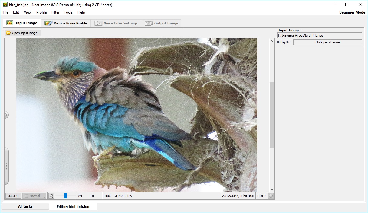 Neat Image - Screenshot #12