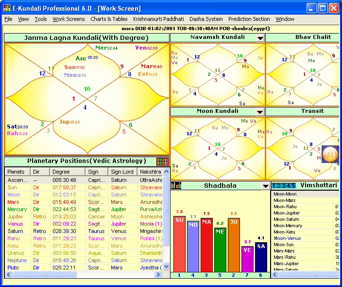 E-Kundali Professional - Screenshot #1