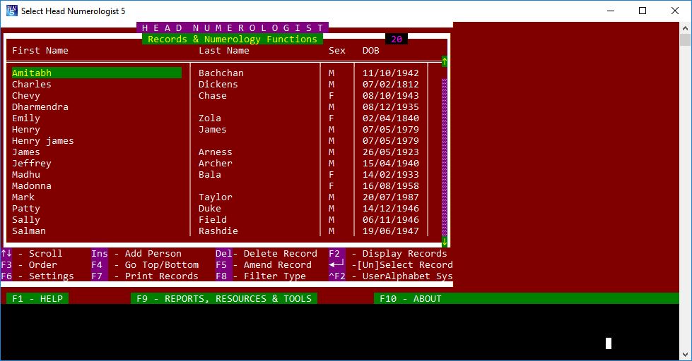 Head Numerologist - Screenshot #1