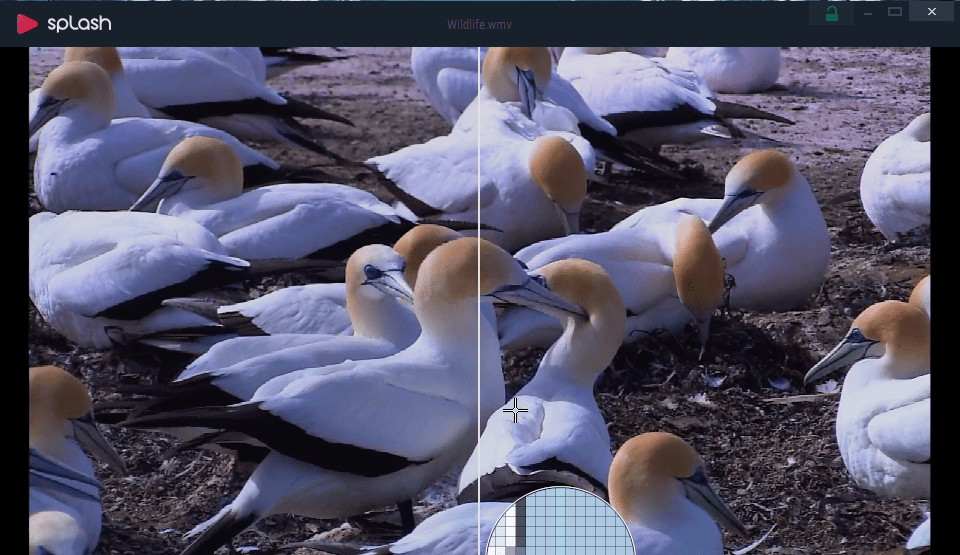 Splash - Screenshot #6