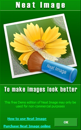 Neat Image - Screenshot #3