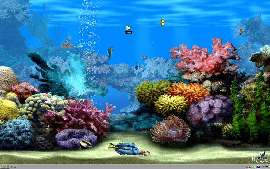 living marine aquarium 2 screensaver full download