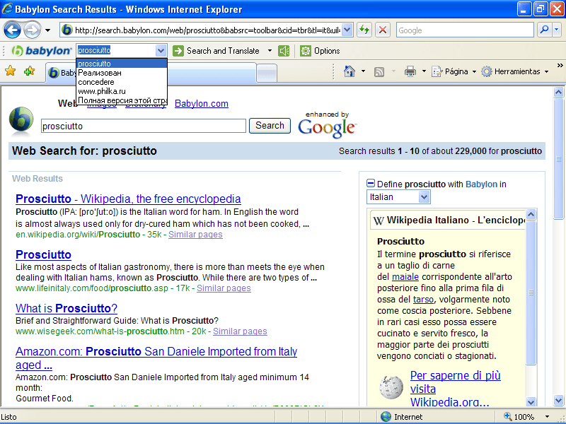 Babylon Toolbar - Screenshot #2