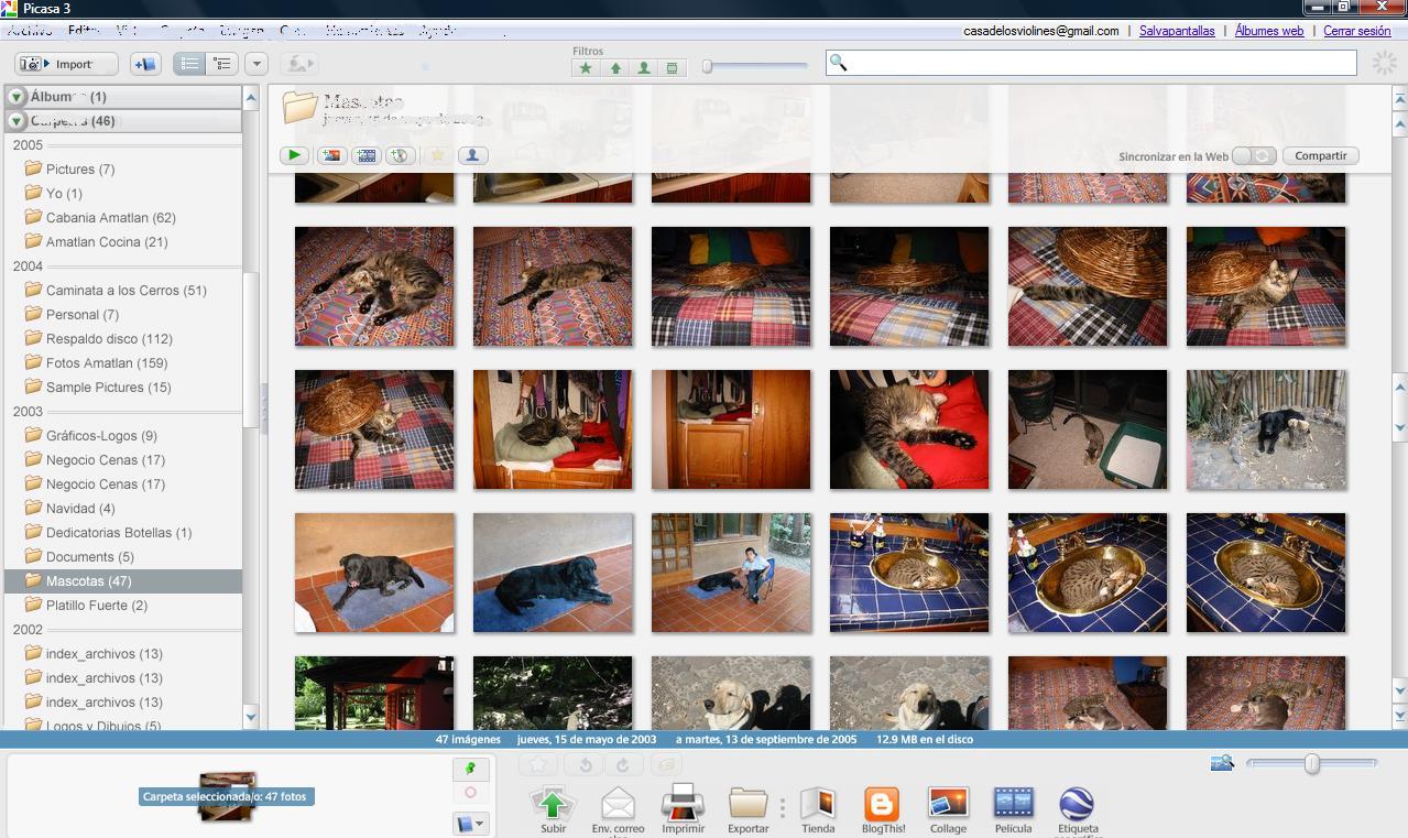 picasa 3 for windows 10 free download