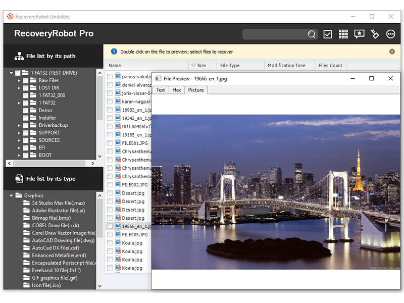 RecoveryRobot Undelete - Screenshot #1