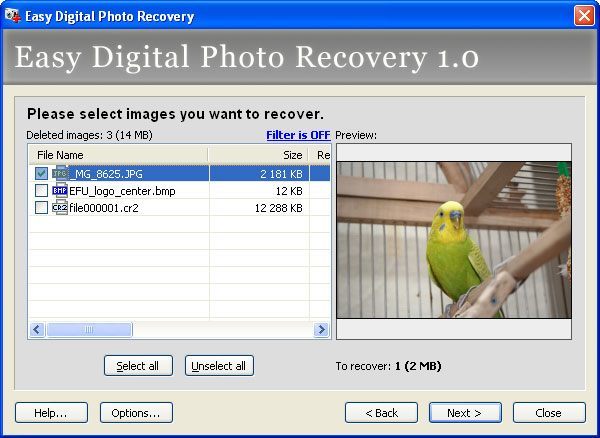 Easy Digital Photo Recovery - Screenshot #8