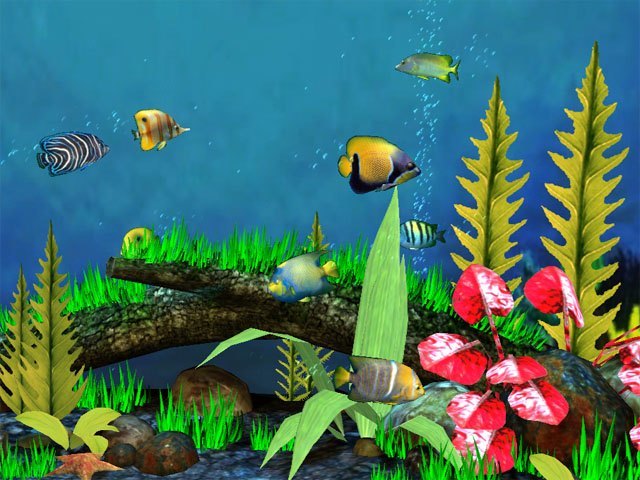 Fish Aquarium 3D Screensaver - Screenshot #6