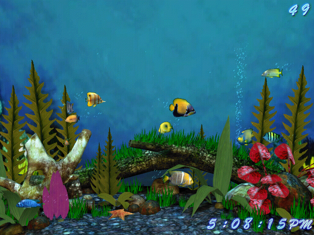 3d Fish Screensaver Full Version Download