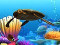 Marine Life 3D Screensaver - Screenshot #3