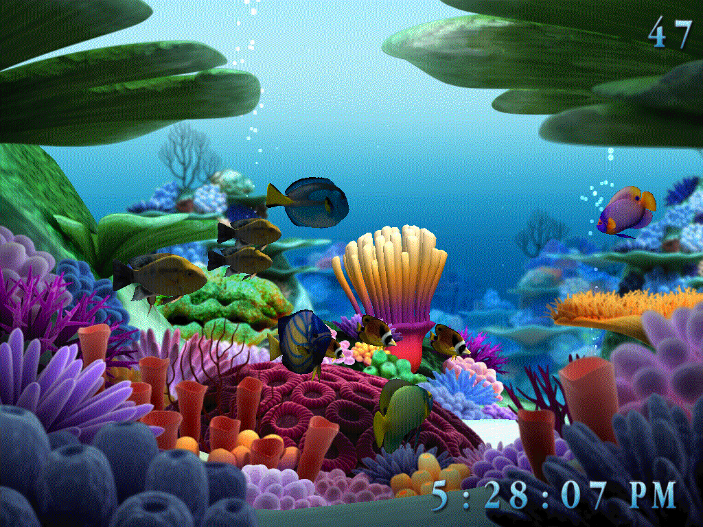 Marine Life 3D Screensaver - Screenshot #1