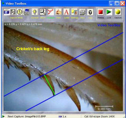 Video ToolBox - Screenshot #1