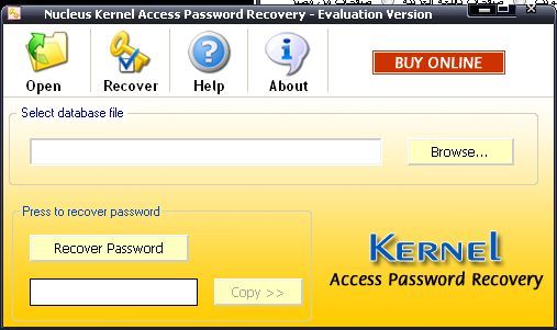 Nucleus Kernel Access Password Recovery - Screenshot #4