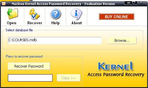 Nucleus Kernel Access Password Recovery - Screenshot #3