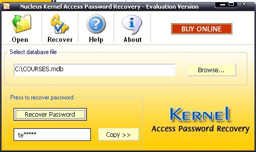Nucleus Kernel Access Password Recovery - Screenshot #2