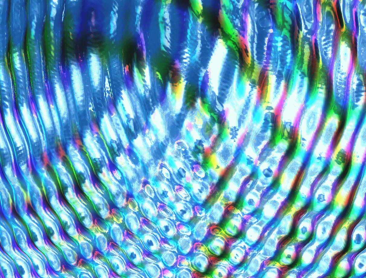 Liquid Desktop Screensaver Free latest version Get best Windows software