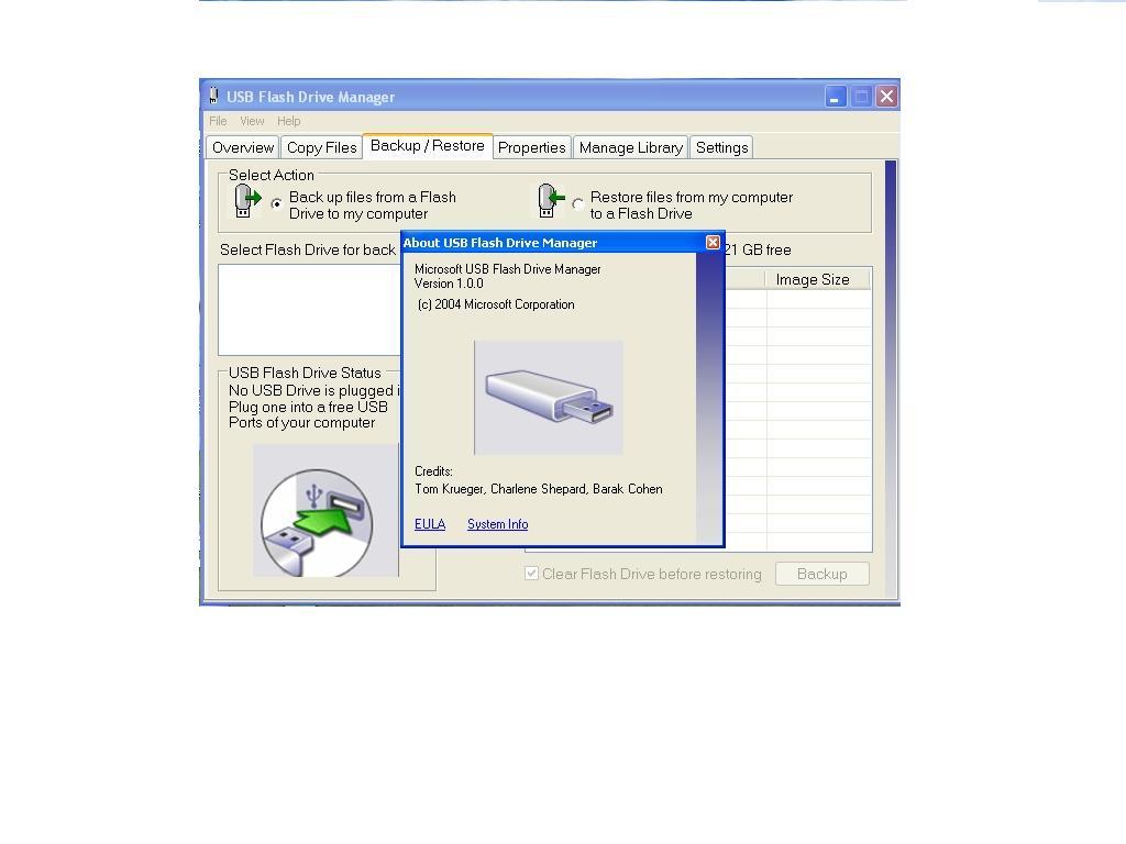for windows instal USB Drive Letter Manager 5.5.8.1