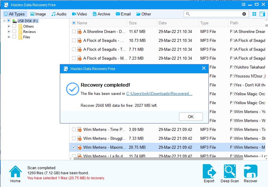 Hasleo Data Recovery - Screenshot #2