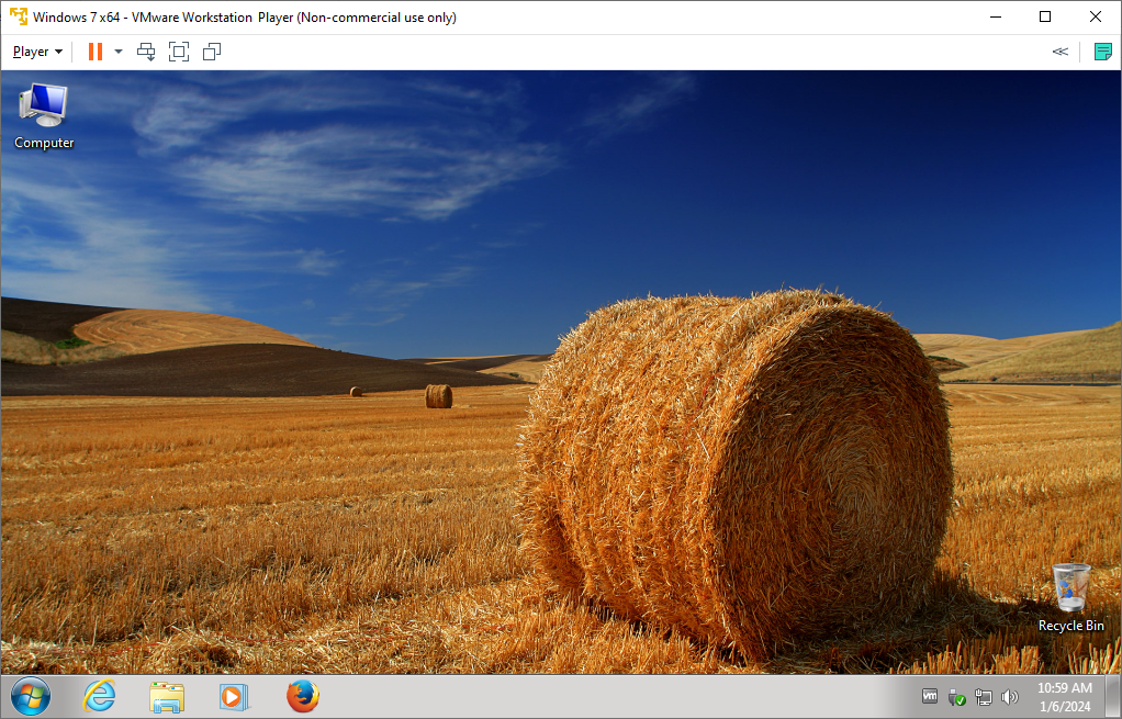VMware Workstation - Screenshot #1