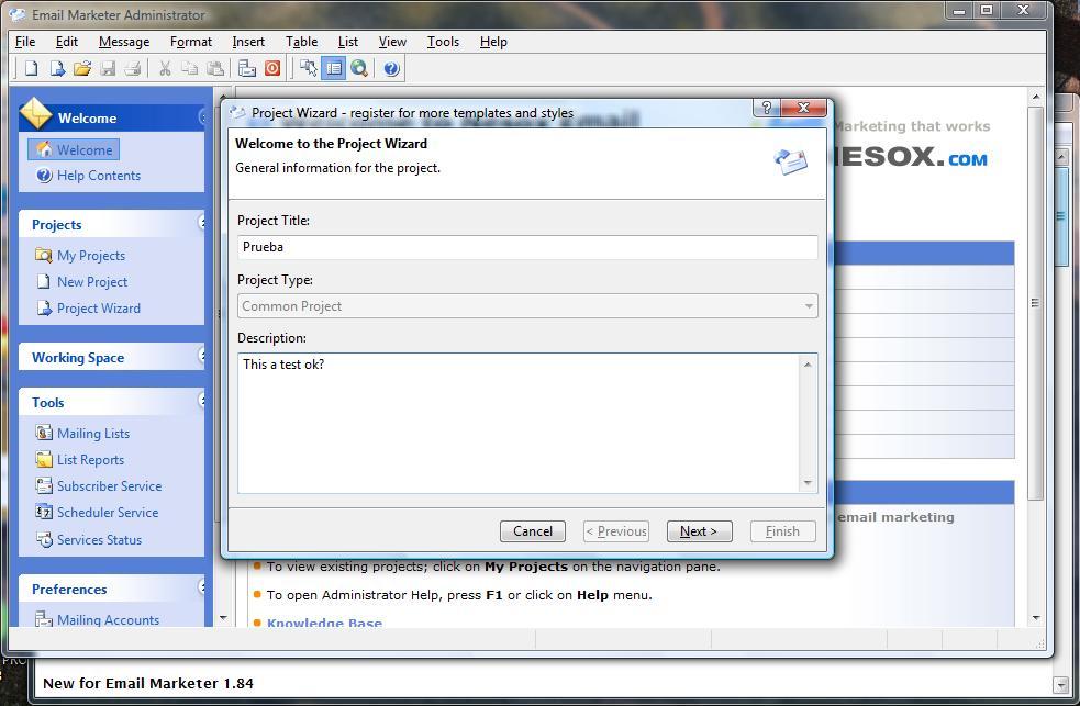Email Marketer Business Edition - Screenshot #4