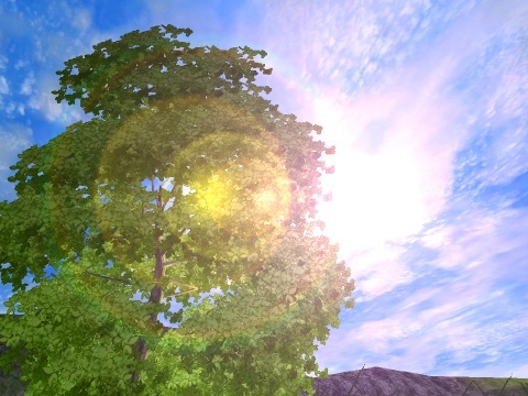 Forest Lake 3D Screensaver - Screenshot #6