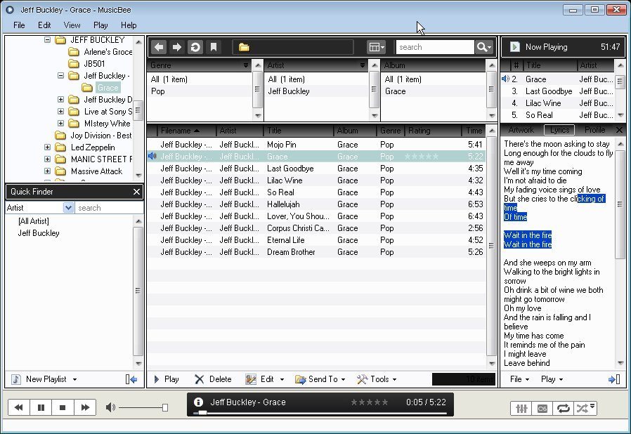 MusicBee - Screenshot #28